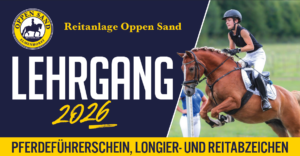 Lehrgang Reitabzeichen